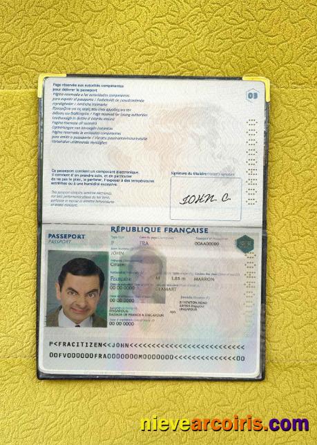 France passport photolook